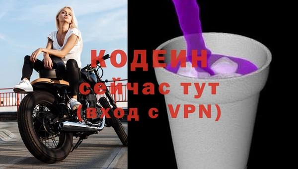 ECSTASY Няндома