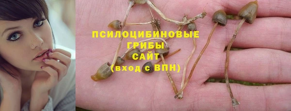 дурь Нягань