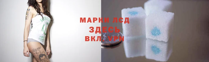 ПСИЛОЦИБИНОВЫЕ ГРИБЫ Новодвинск
