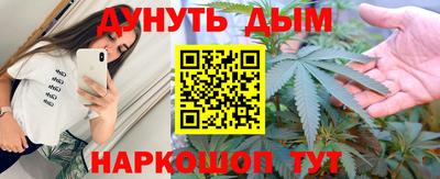 эйфоретик Кингисепп