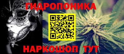 шишки Кинель