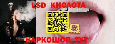 шишки Кинель