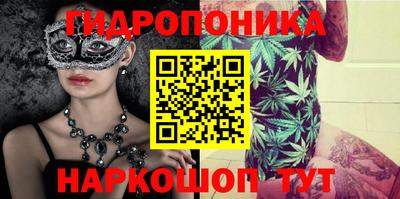 эйфоретик Кингисепп