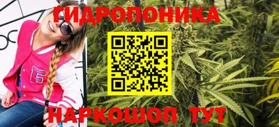 шишки Кинель