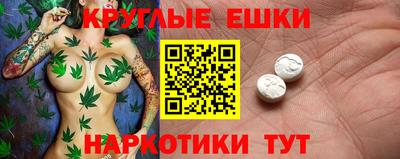 эйфоретик Кингисепп