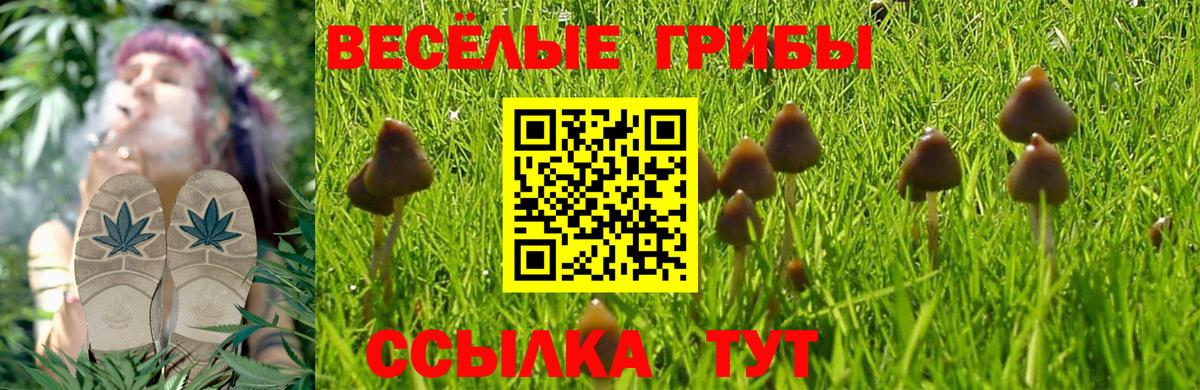 купить  сайты  Вход с VPN  Томск  Галлюциногенные грибы MAGIC MUSHROOMS  Галлюциногенные грибы ЛСД 