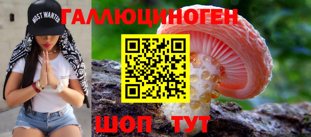 Галлюциногенные грибы Cubensis Томск